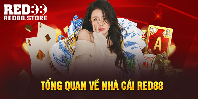 Giải đấu đá gà cấp Vnbet được tổ chức tại Vnbet - Vnbet