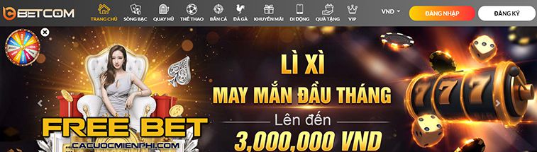 Hướng dẫn cơ bản về vận hành God66 - God66