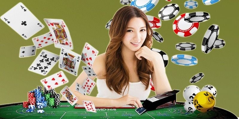 Vui lòng liên hệ bộ phận hỗ trợ của Okking - Okking