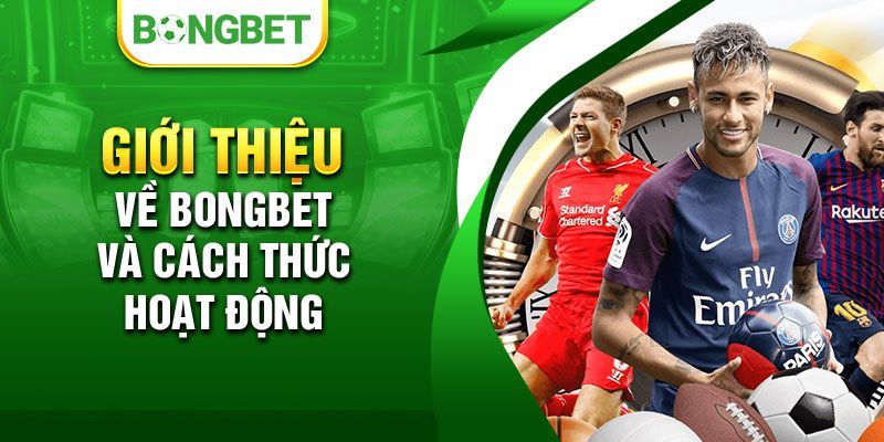Game đá gà cấp độ Qqvn tương thích với mọi hệ điều hành - Qqvn