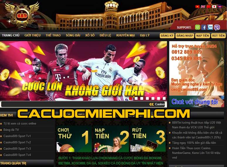 Xác định các liên kết Vesovn chính hãng thông qua giao diện trực quan - Vesovn