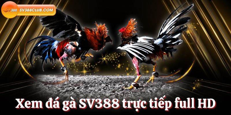 Mu9 Bạn có thể đặt cược vào bất cứ điều gì - Mu9