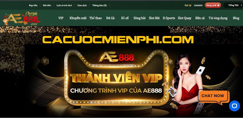 Nền tảng Jili 2026 – Điện toán đám mây AWS, 999% | Bảo mật và thời gian hoạt động SSL - Jili