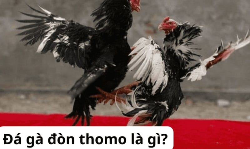 Những tựa game tuyệt vời trên cổng game Vin77 - Vin77