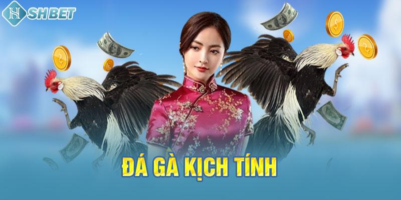 Nền tảng Mobi66 cung cấp hơn 5000 trò chơi - Mobi66
