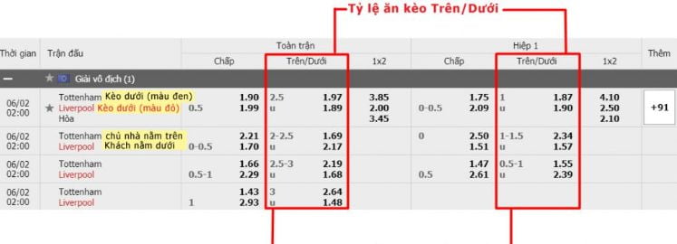 Một số thông tin cơ bản về 388Bet - 388Bet