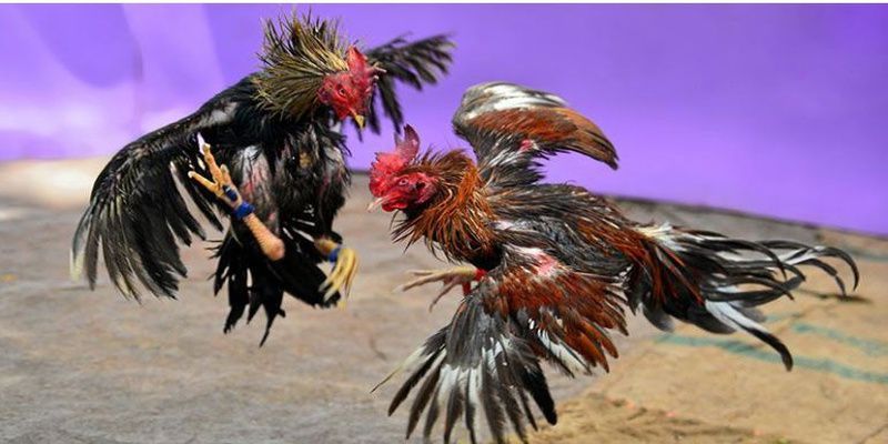 Hướng dẫn sử dụng thẻ game để nạp tiền vào tài khoản thành viên I999 - I999