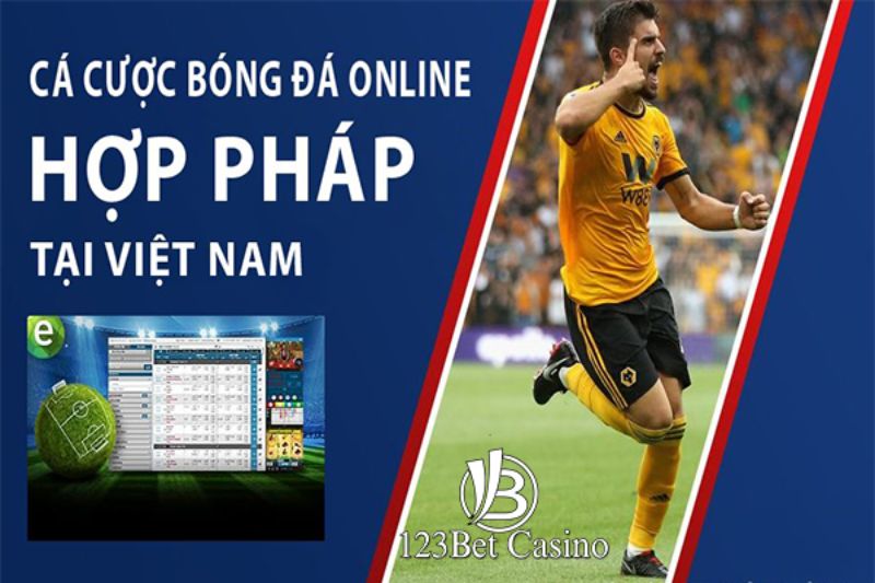 Tôi cần chuẩn bị những gì để nhận được khoản tiền thưởng 66000 đô la do 24N đề nghị? - 24N