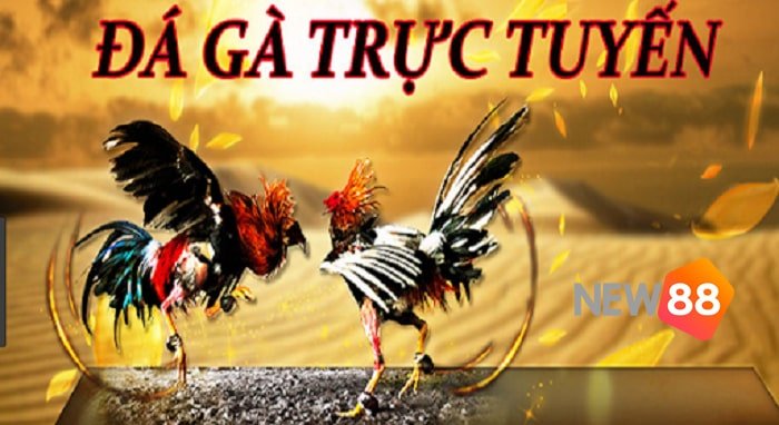 Sử dụng mã J88 cho phép gửi và rút tiền nhanh chóng và tiện lợi - J88